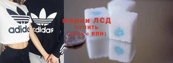 индика Аркадак