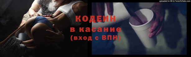 прущая мука Арсеньев