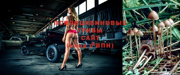 индика Аркадак