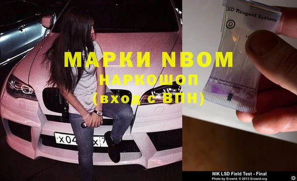 индика Аркадак