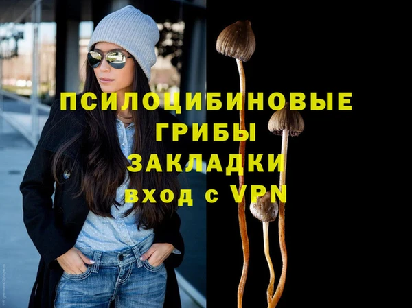 индика Аркадак