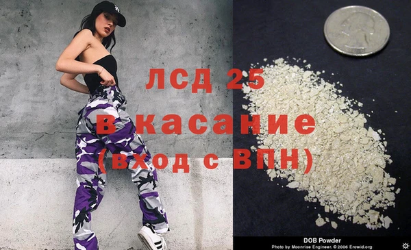 индика Аркадак