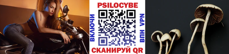 Галлюциногенные грибы Cubensis  Спасск-Дальний 